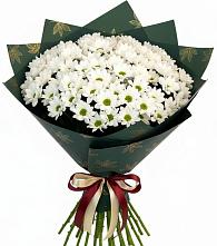 Букет цветов из:  Хризантемы в Кевсале