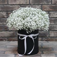 Цветочная композиция из Гипсофила в шляпной коробке #REPLACE_PRED# Кевсале