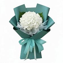 Букет цветов из:  Гортензия в Кевсале